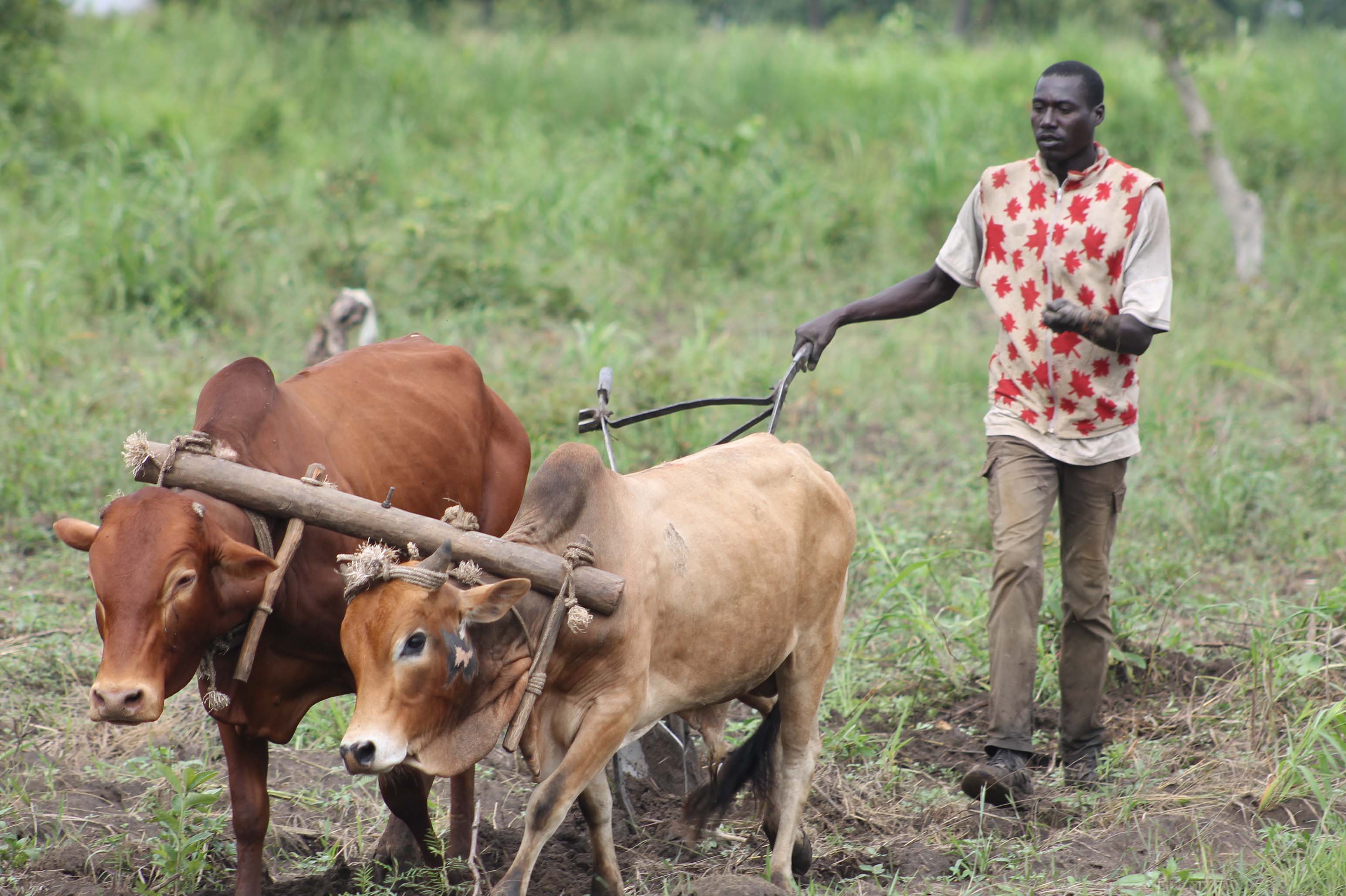 Support Agriculture program